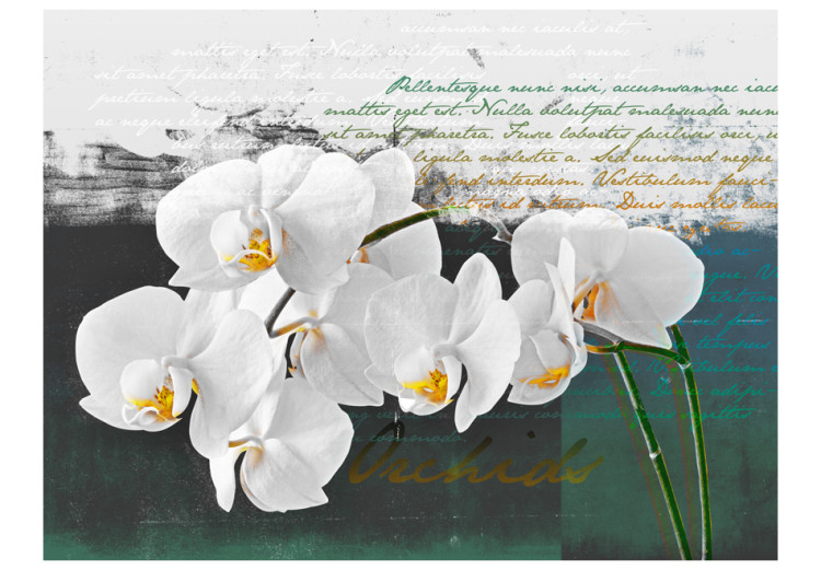 Wall Mural Orchid - Poet's Inspiration is a White Floral Motif with Inscriptions in the Background 60630 additionalImage 1
