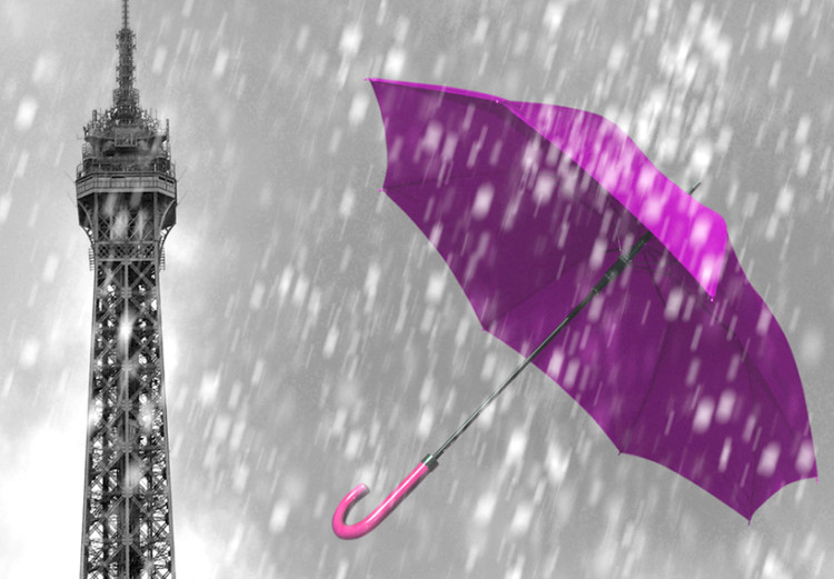 Bild auf Leinwand Paris: Purple Umbrellas 91930 additionalImage 5