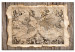 Tablero decorativo en corcho Map of the Past [Cork Map] 92230 additionalThumb 2