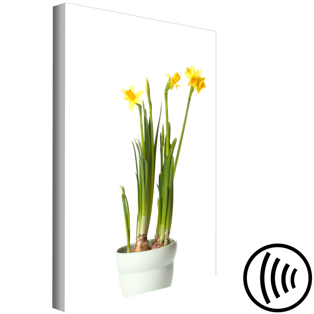 Schilderij  Andere Bloemen: Narcissus (1 Part) Vertical
