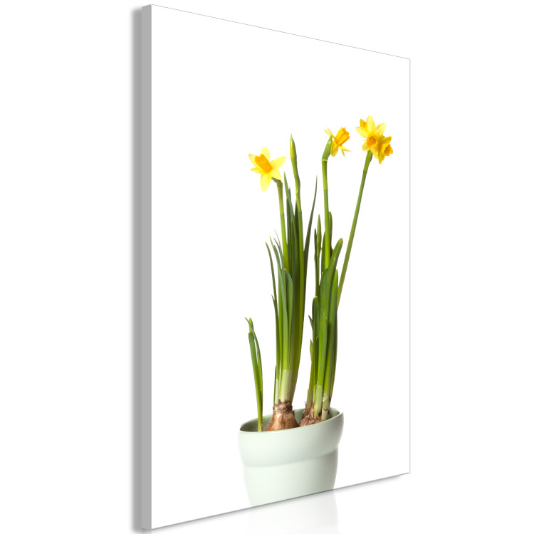 Canvas Art Print Narcissus (1 Part) Vertical 116640 additionalImage 2