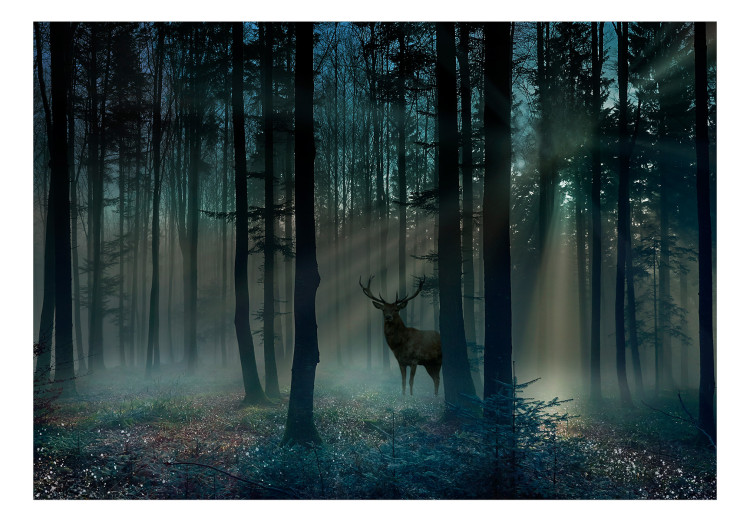 Fotomural Mystical Forest - Third Variant 128840 additionalImage 1