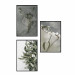 Picture wall Winter plant 132340 additionalThumb 1