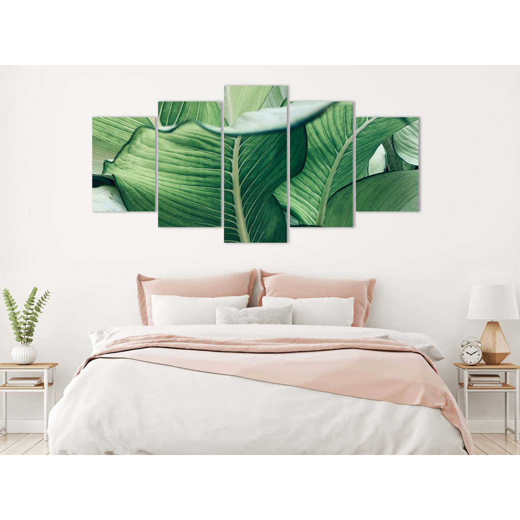 Quadro Em Tela Luscious Nature - Large Leaves In Expressive Shades Of Green