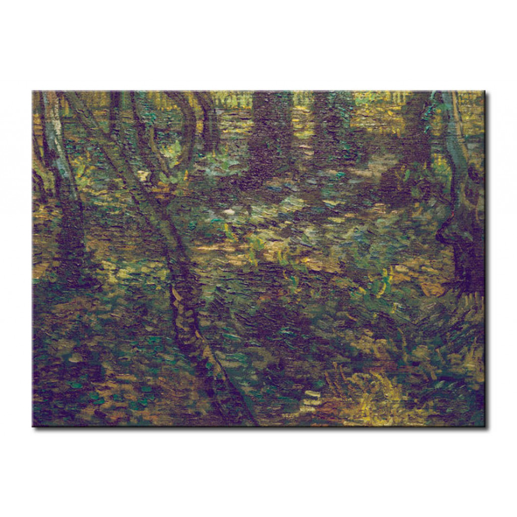 Schilderij  Vincent Van Gogh: Undergrowth With Ivy