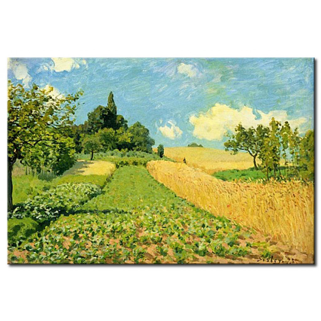 Schilderij  Alfred Sisley: The Cornfield (near Argenteuil)
