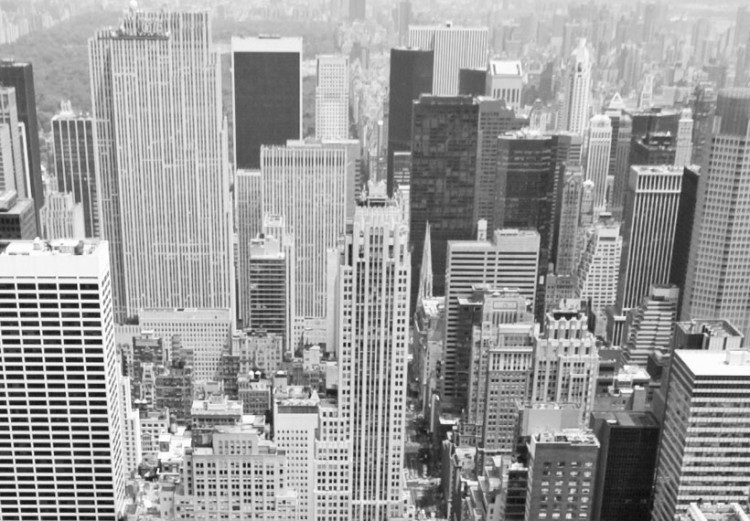 Bild auf Leinwand Unglaublicher Ausblick auf die Dächer von New York 58340 additionalImage 5