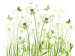 Wall Mural Dandelions and Butterflies - Minimalistic Floral Motif on a Light Background 60740