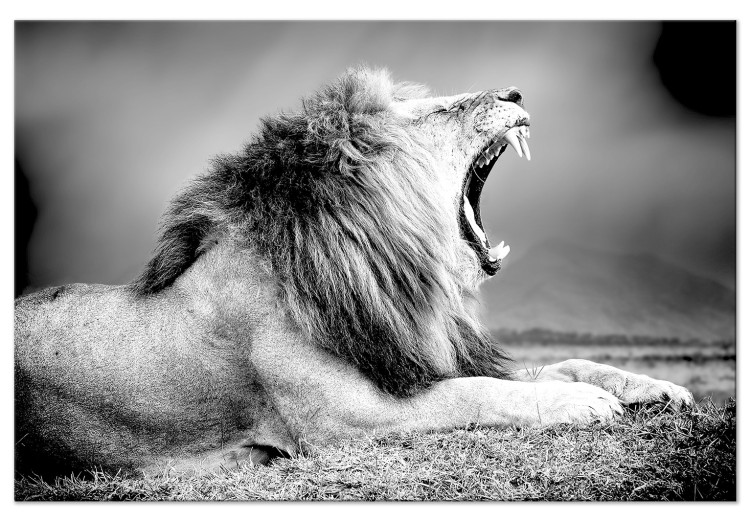 Canvastavla Lejonets rytande kraft (1-del) - rovdjur i svartvitt bakgrund