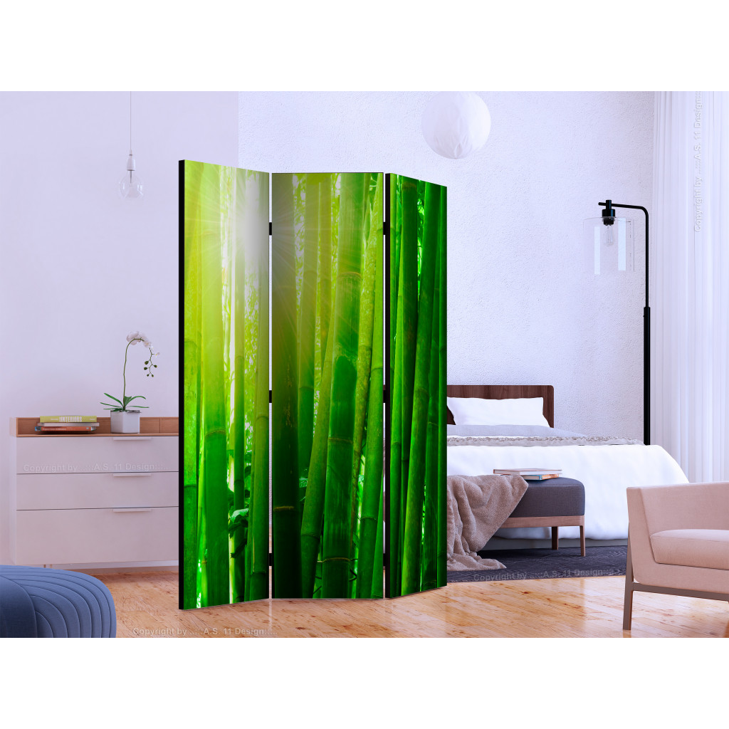 Parawan Pokojowy Słońce I Bambus [Room Dividers]