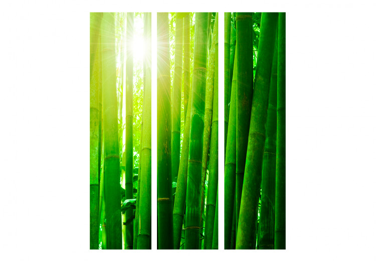 Parawan pokojowy Słońce i bambus [Room Dividers] 133250 additionalImage 3