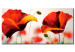 Obraz Maki na kwietnej łące (1-częściowy) - zbliżenie na czerwone kwiaty 3D 47150