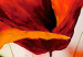 Obraz Maki na kwietnej łące (1-częściowy) - zbliżenie na czerwone kwiaty 3D 47150 additionalThumb 3