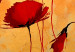 Tableau sur toile Coquelicots (1 pièce) - Fleurs effilochées sur fond d'éclairage orange 48550 additionalThumb 4