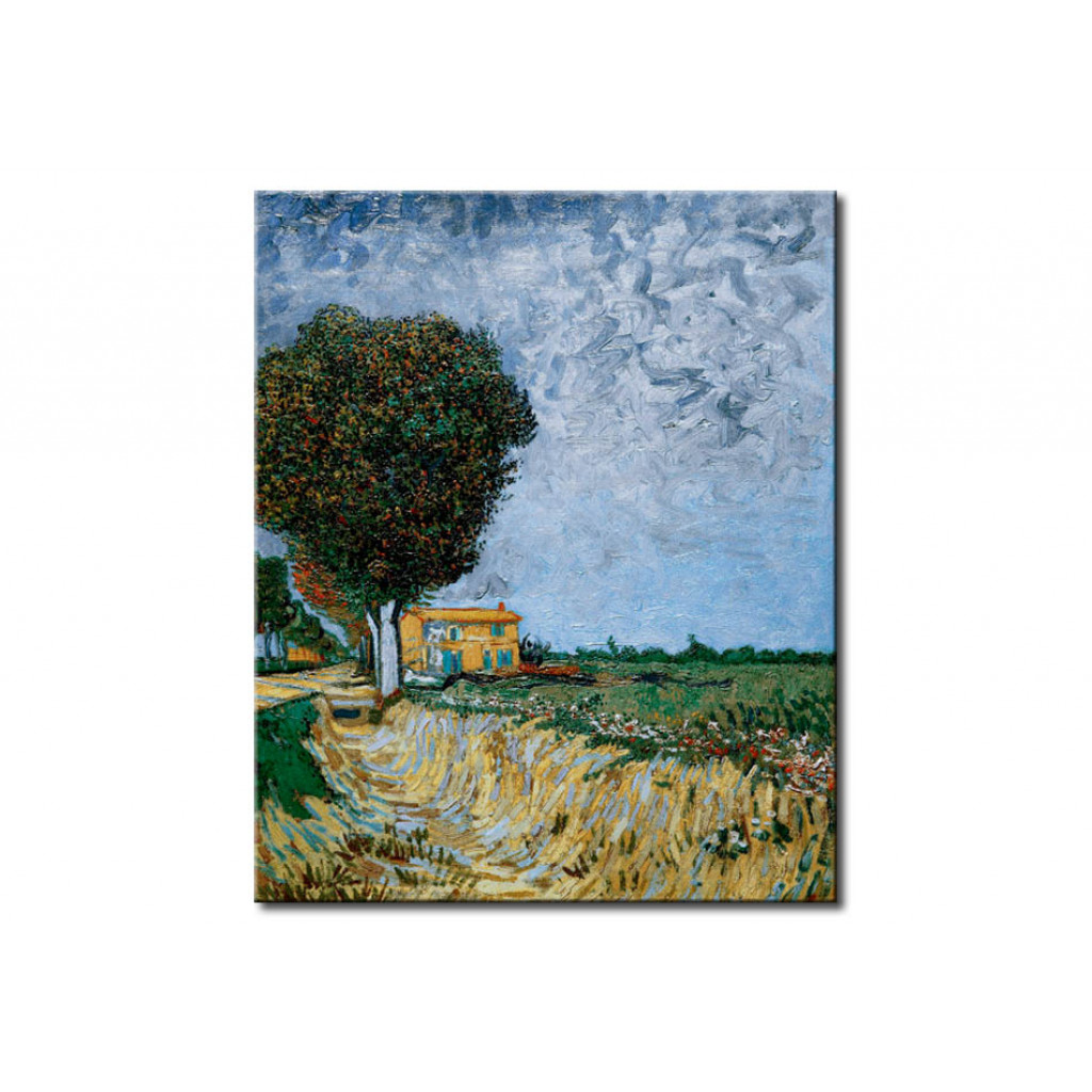 Schilderij  Vincent Van Gogh: Avenue Near Arles