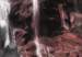 Quadro su tela Cavallo nero sullo sfondo di un cielo cremisi 55650 additionalThumb 4