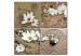 Leinwandbild Weiße Blumen 56050