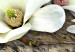 Leinwandbild Weiße Blumen 56050 additionalThumb 5