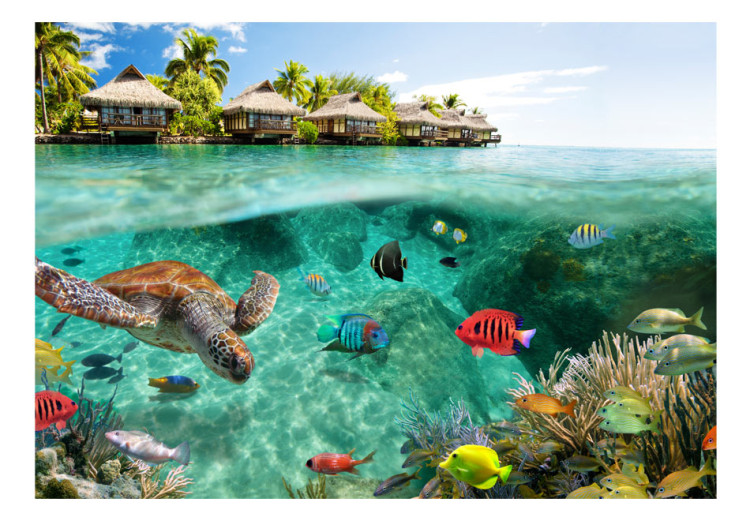 Wall Mural Paradise Maldives - Seascape on a reef with fish and turtles 61250 additionalImage 1