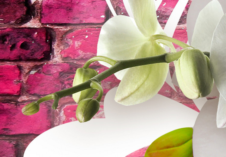 Wandbild Variation zum Thema Orchidee 61750 additionalImage 5