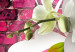Wandbild Variation zum Thema Orchidee 61750 additionalThumb 5