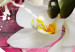Wandbild Variation zum Thema Orchidee 61750 additionalThumb 4