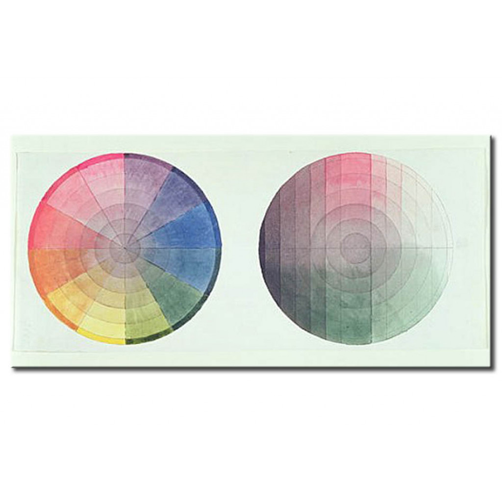 Cópia Do Quadro Famoso Two Studies Of The Cross Section And Longitudinal Section Of A Colour Globe