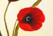 Tableau contemporain Tulipes printanières (1 pièce) - Fleurs rouges sur fond crème 48660 additionalThumb 3