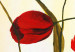 Tableau contemporain Tulipes printanières (1 pièce) - Fleurs rouges sur fond crème 48660 additionalThumb 2