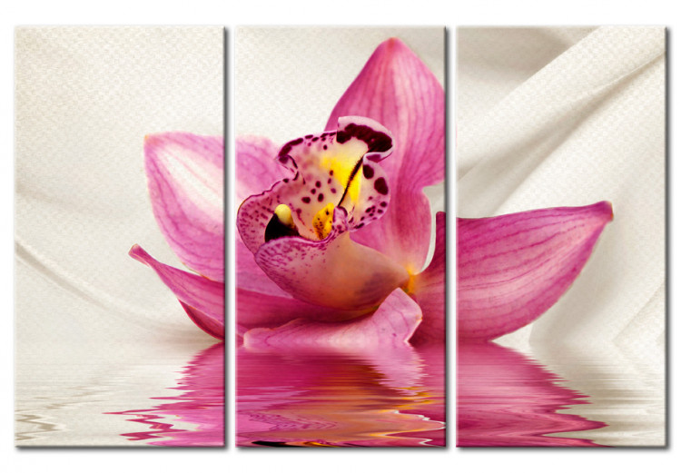 Tableau moderne Unusual orchid - triptych 50460