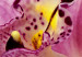 Pintura em tela Unusual orchid - triptych 50460 additionalThumb 5