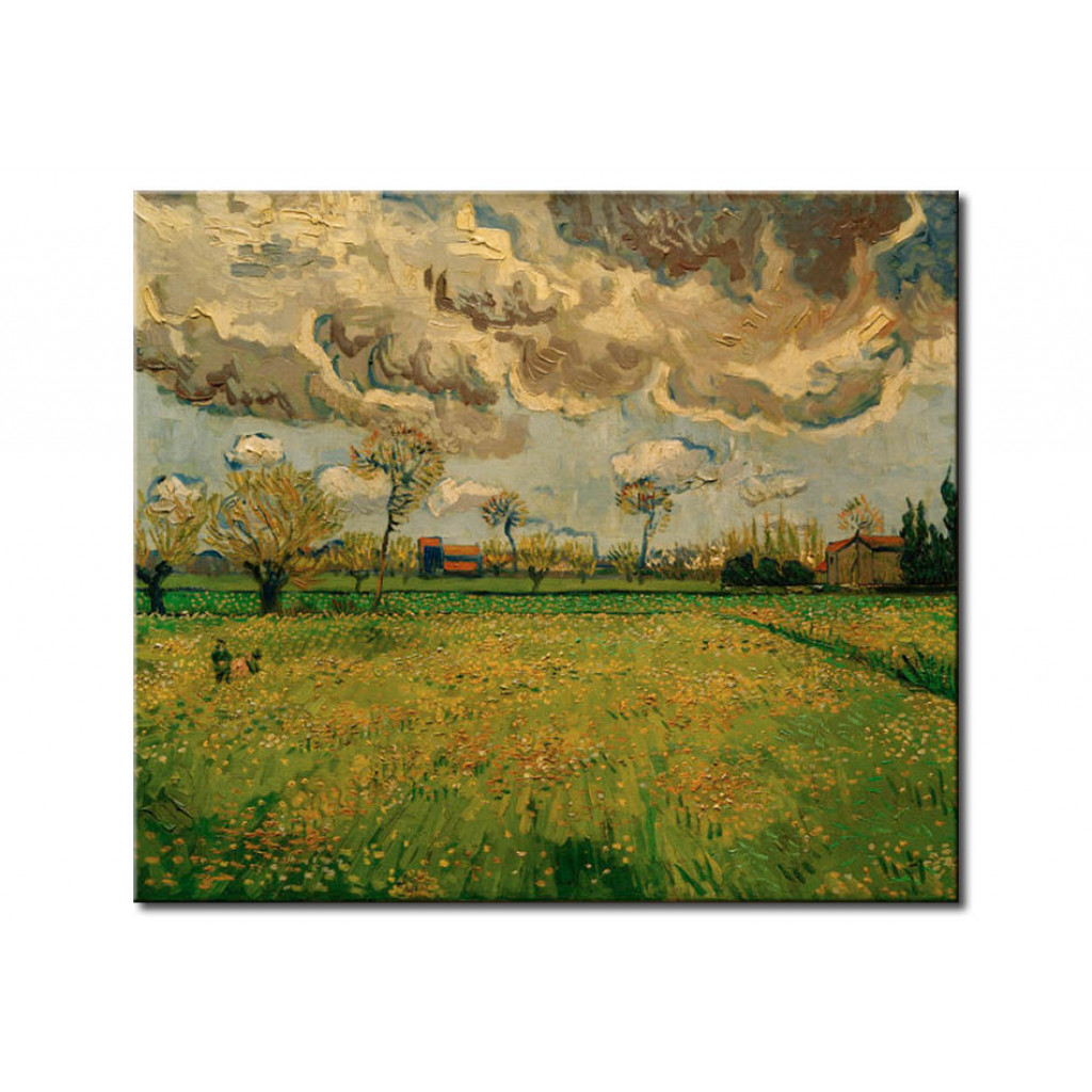 Schilderij  Vincent Van Gogh: Meadow (Arles)
