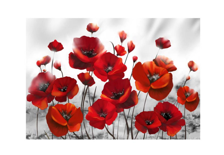 Wall Mural Poppies in the Moonlight 60660 additionalImage 1