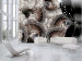 Photo Wallpaper Fans and feathers - shell style ornaments with a black element 96660
