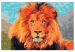 Paint by Number Kit Lion  107170 additionalThumb 6