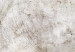 Fototapeta Industrialne oblicze dmuchawców – kompozycja z motywem roślinnym 138470 additionalThumb 4
