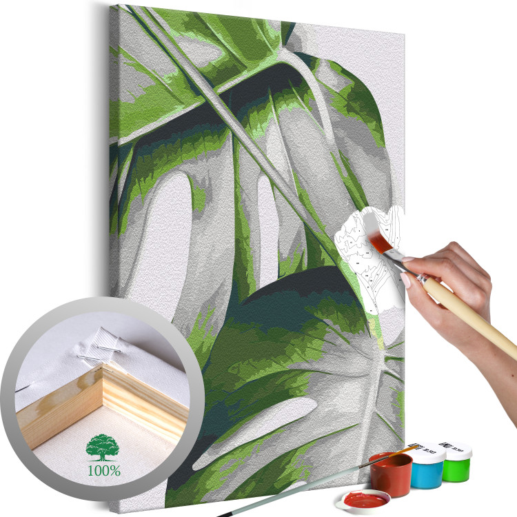 Paint by number Monstera Leaves 138670