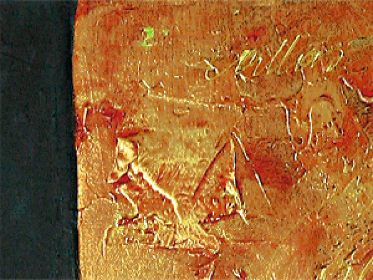 Obraz Złoty blask (1-częściowy) - abstrakcyjny motyw roślinny z kaliami 46570 additionalImage 3
