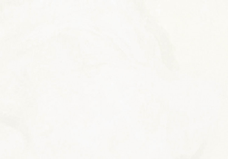 Reproduction sur toile Portrait d'Hélène Klimt 50870 additionalImage 3