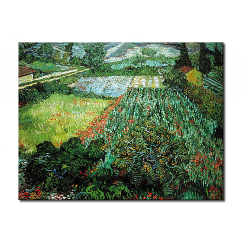Schilderij  Vincent Van Gogh: Field With Poppies