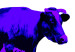 Leinwandbild Kühe in drei Farben  55770 additionalThumb 3