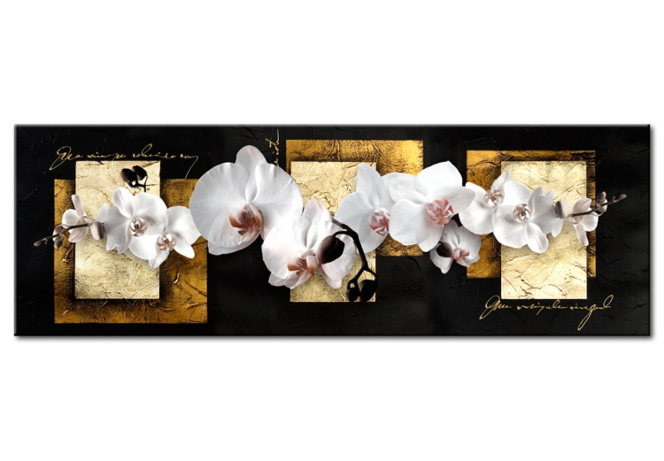 Wandbild Elegante Komposition mit Orchidee 56170