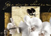 Wandbild Elegante Komposition mit Orchidee 56170 additionalThumb 5