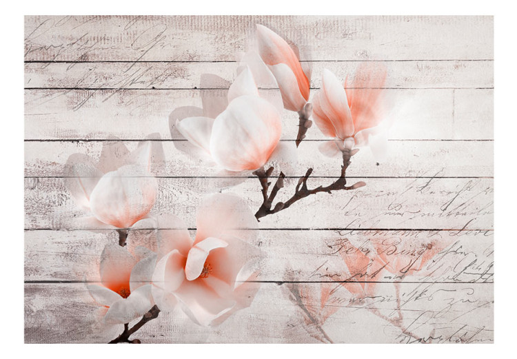 Fototapeta Delikatność magnolii - pomarańczowo-biały kwiat na tle białych desek 62470 additionalImage 1
