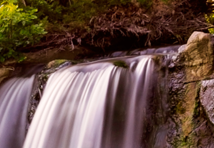 Tableau Nature: Forest Waterfall - Rivière et la cascade - Paysages -  Tableaux