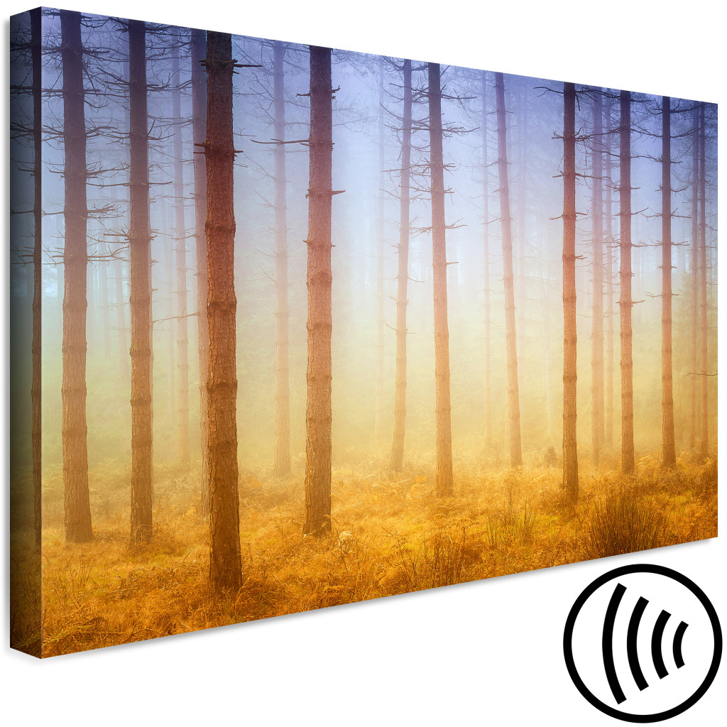 Schilderij  Bos: Bomen In De Mist - Een Boslandschap In Warme, Natuurlijke Tinten