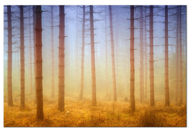 Canvastavla Trees in the Mist - ett skogslandskap i varma naturtoner