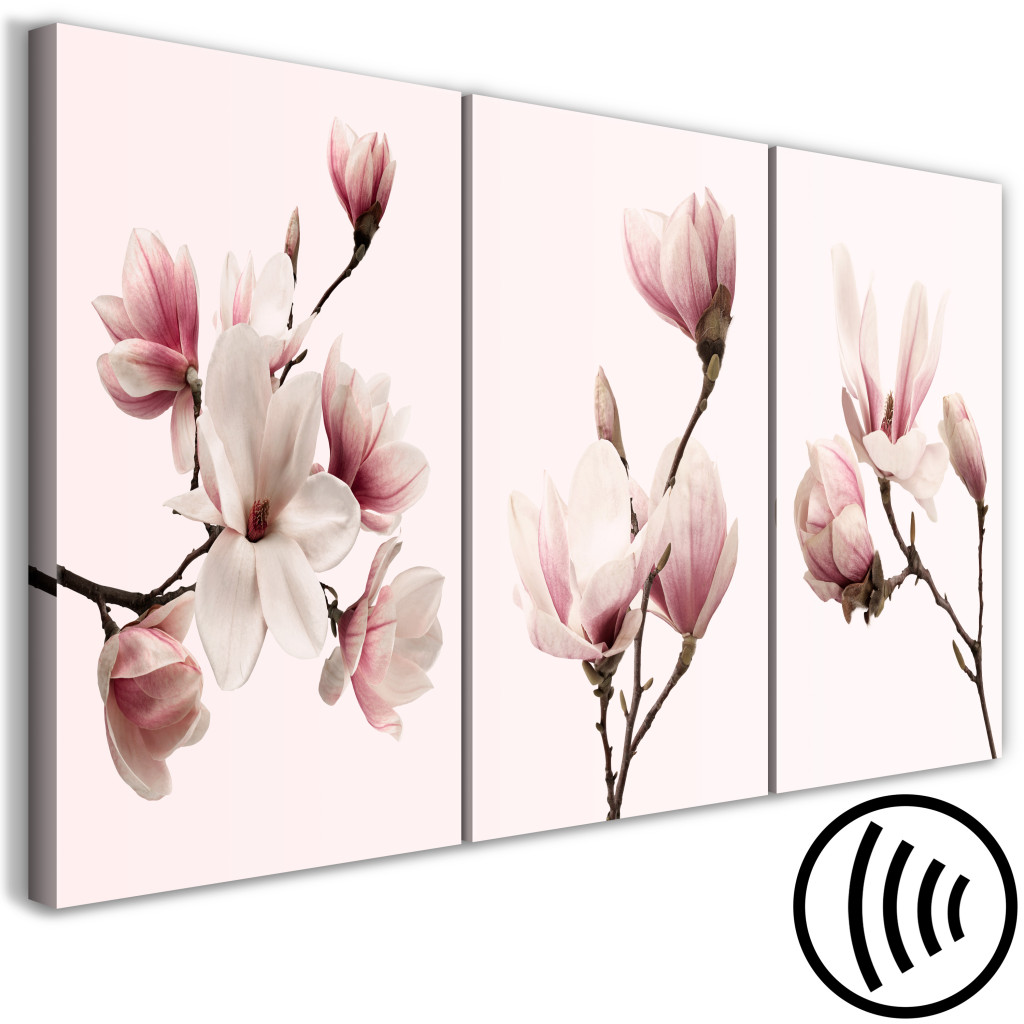 Schilderij  Magnolias: Spring Magnolias (3 Parts)