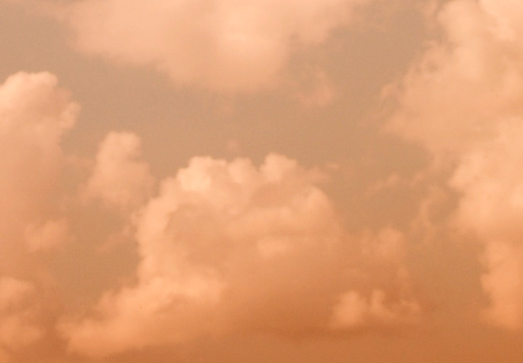 Obraz Dźwig na tle nieba - zdjęcie maszyny na tle zachodzącego słońca 124380 additionalImage 4