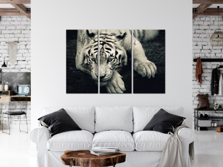 Wandbild Ruhiger Tiger - Triptychon in Sepia mit einem liegendem Tiger 128780 additionalImage 3